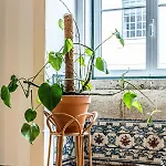 Bed & Breakfast Azulejos Cais Sodre