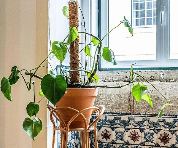 Bed & Breakfast Azulejos Cais Sodré