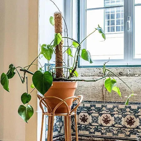 Bed & Breakfast Azulejos Cais Sodre